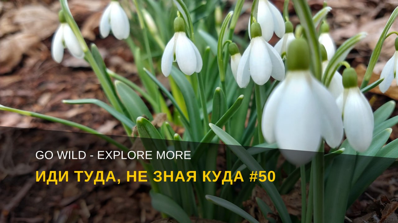 Латвия, 29 марта 2025