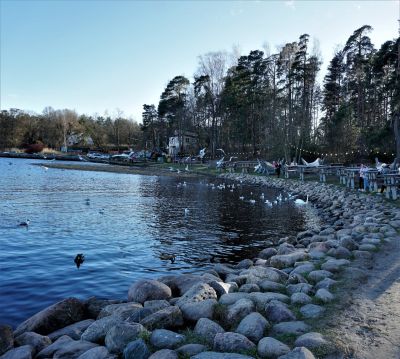 Mežaparks