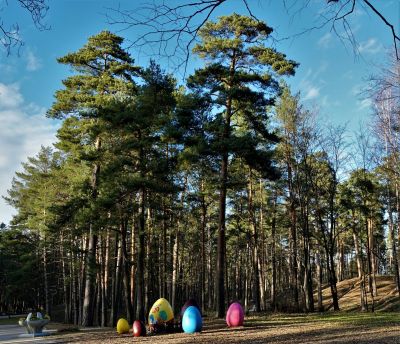 Mežaparks