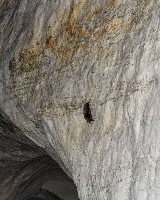 Riežupe Sand Caves (Riežupes smilšu alas), Kuldīga