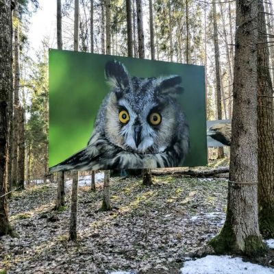 The Art Trail at Valguma pasaule, Ķemeri National Park