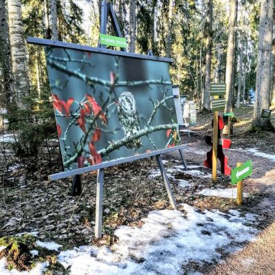 The Art Trail at Valguma pasaule, Ķemeri National Park