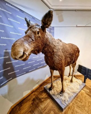 Latvian Museum of Natural History (Latvijas Nacionālais dabas muzejs), Rīga