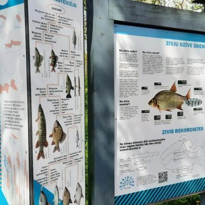 Valmiera: Dzirnavu ezeriņš, Ģīmes dabas taka un neonija.lv