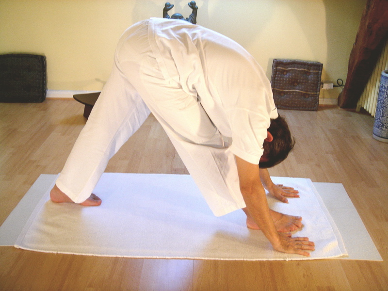 Parsvottanasana (Intense Side Stretch Pose)