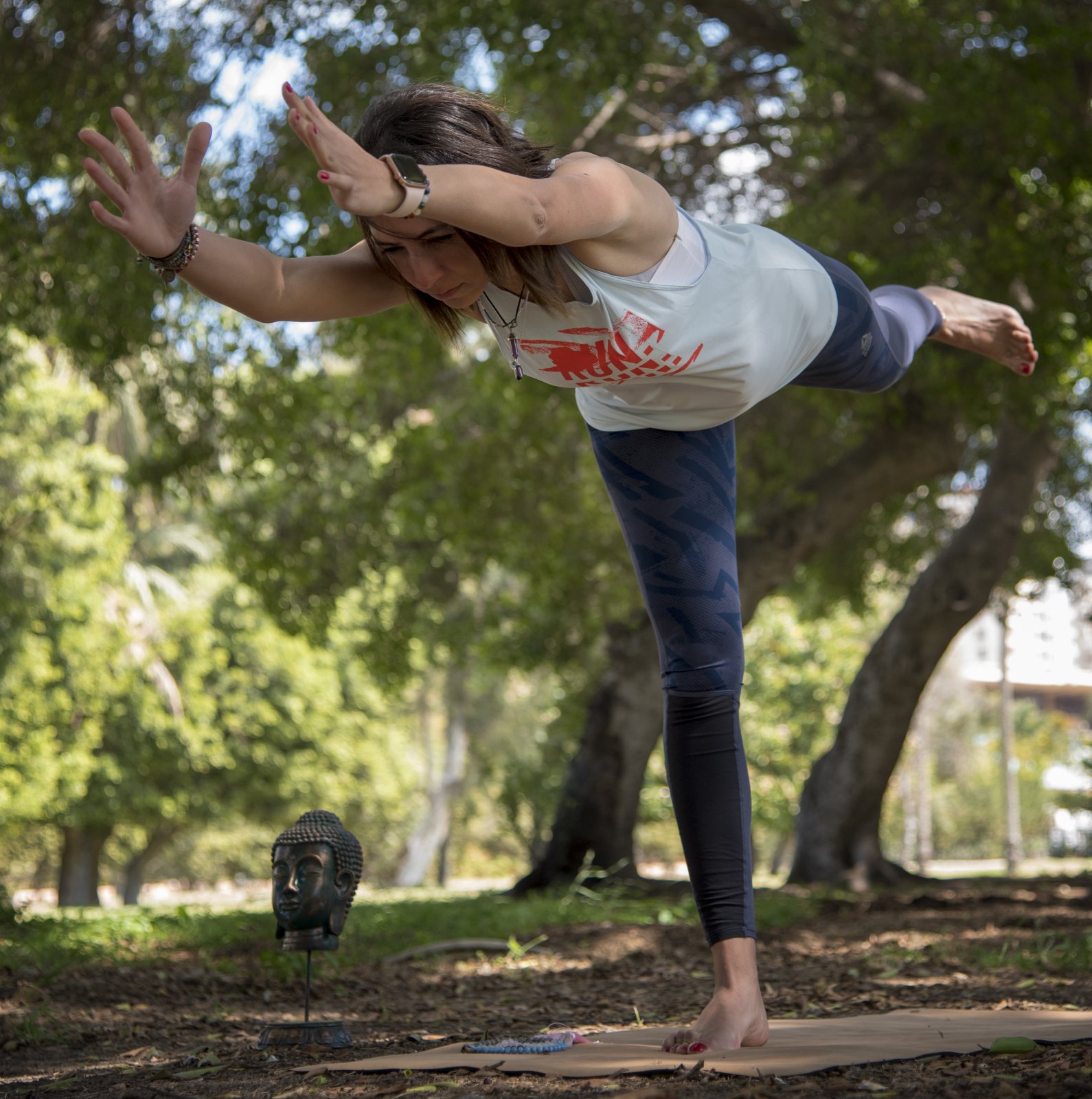 Virabhadrasana III (Kareivja poza III)